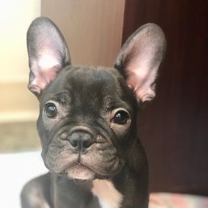 Meet your Posher, Brenda